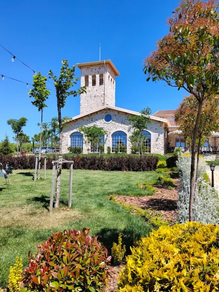 Автентичният вкус на Югозападна България: Защо Villa MonteVino е водещата винарна за незабравимо винено изживяване